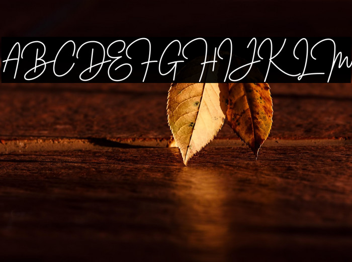 MalbourneFREE Example 2