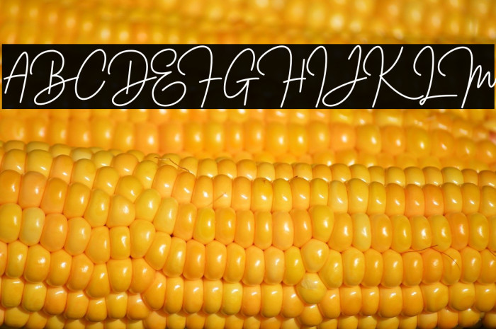 MalbourneFREE Example 3