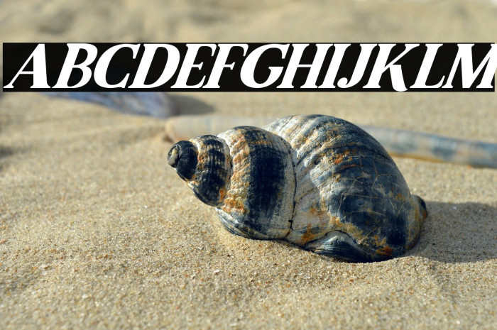 Malcolm Italic Example 2