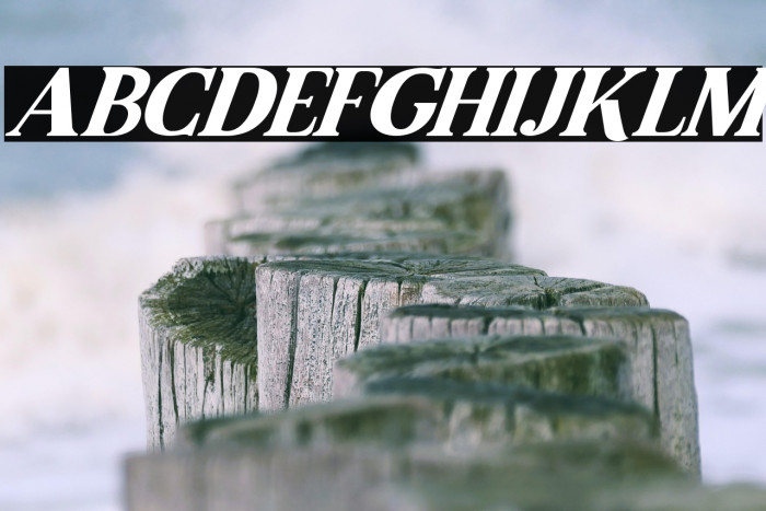 Malcolm Italic Example 3