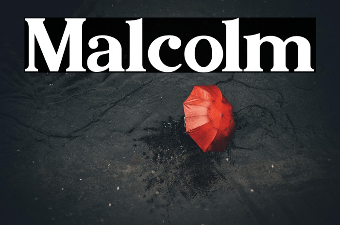Malcolm Example 3