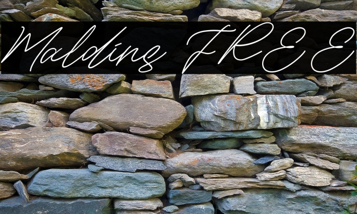 Maldins FREE フォント examples