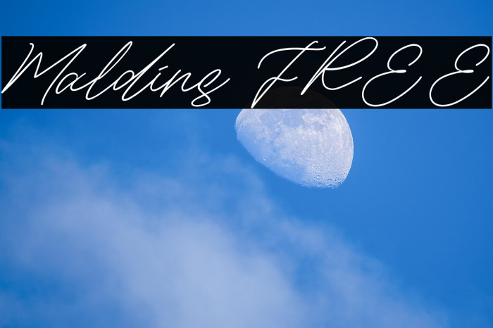 Maldins FREE フォント examples