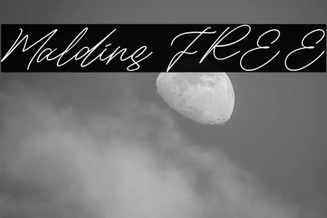 Maldins FREE फ़ॉन्ट examples