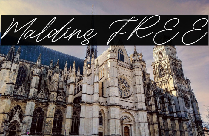 Maldins FREE フォント examples