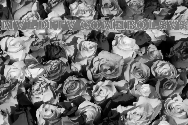 Maldita Comebolsas Font examples