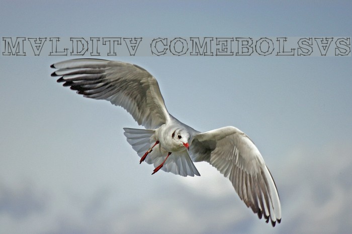 Maldita Comebolsas Example 3