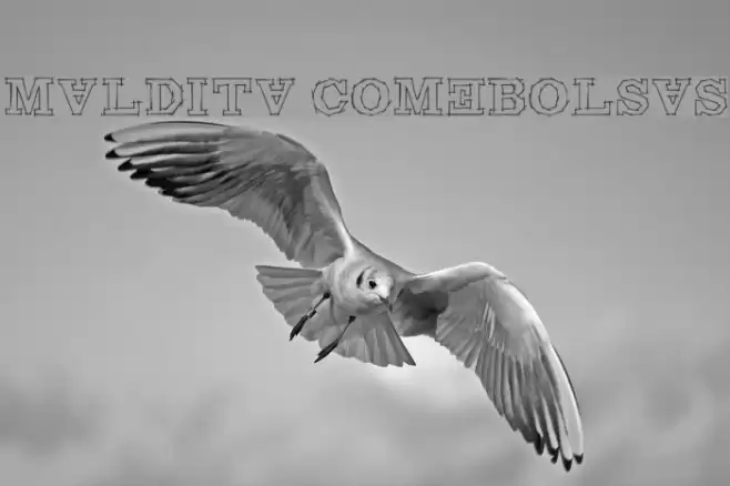 Maldita Comebolsas Font examples