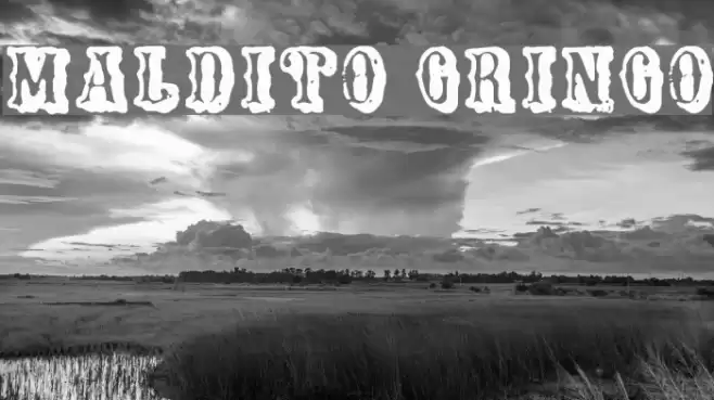 Maldito Gringo फ़ॉन्ट examples