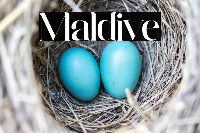 Maldive Example 2