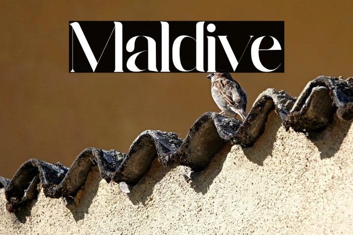 Maldive Example 3