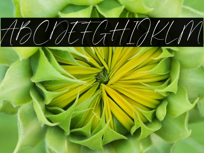 Maldives Signature Example 3