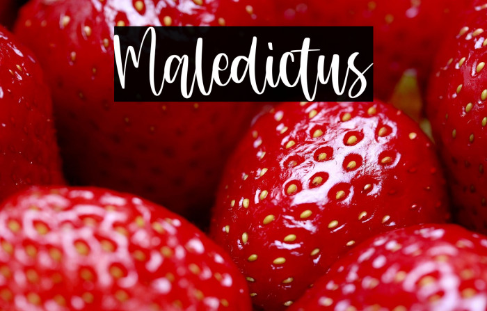 Maledictus Example 3