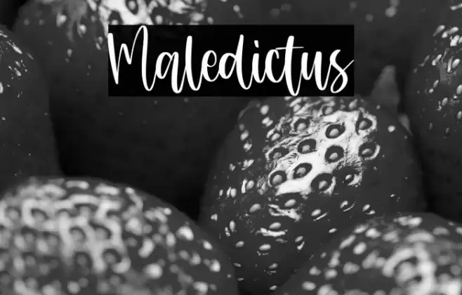 Maledictus Font examples