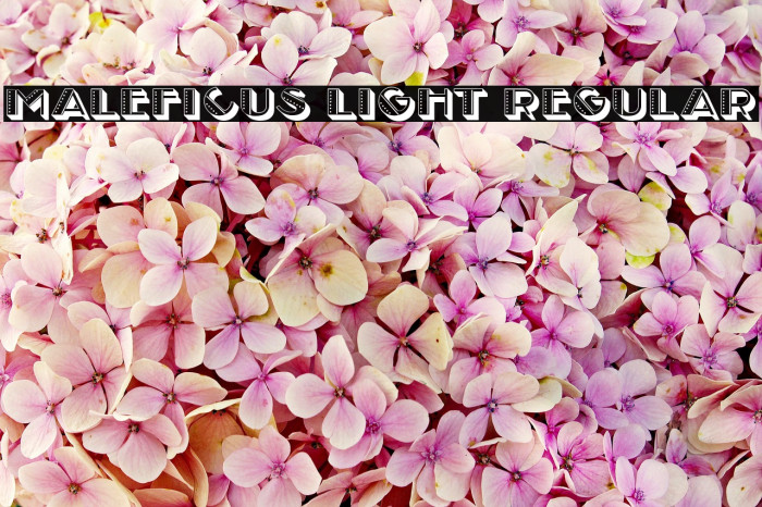 Maleficus Light Regular Font examples