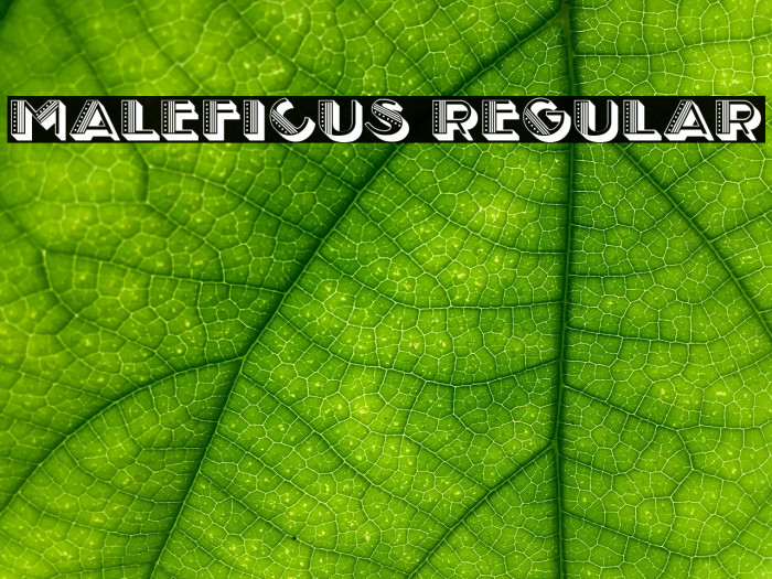 Maleficus Regular Font examples