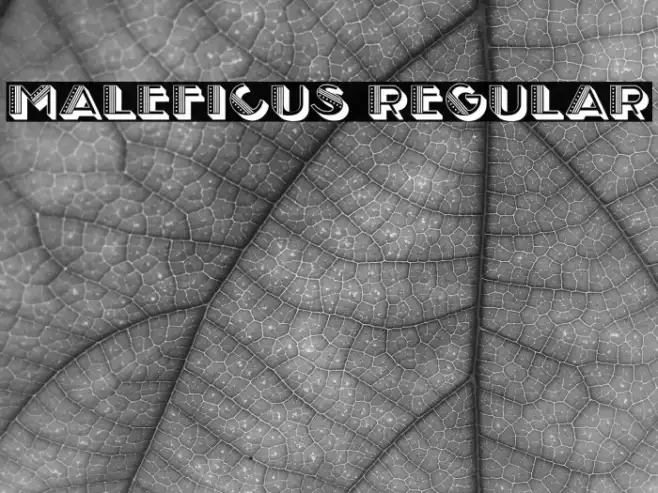 Maleficus Regular Example 1