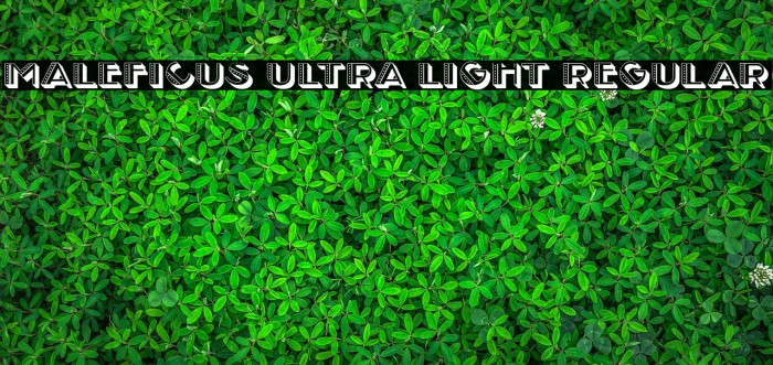Maleficus Ultra Light Regular Font examples