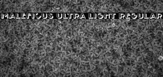 Maleficus Ultra Light Regular Example 1