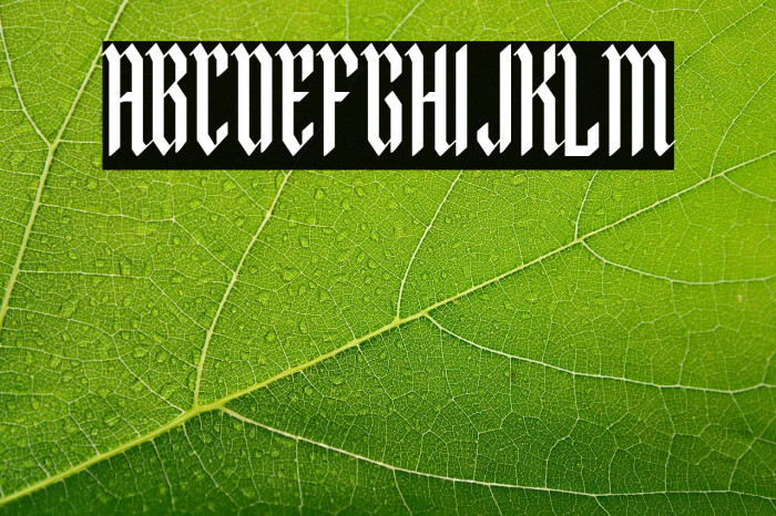 Malegroth-Regular Example 2