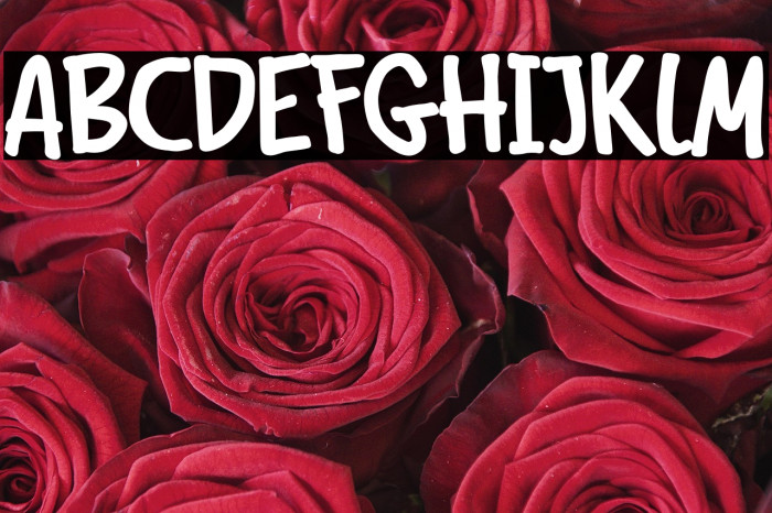 Malem Bold Example 2