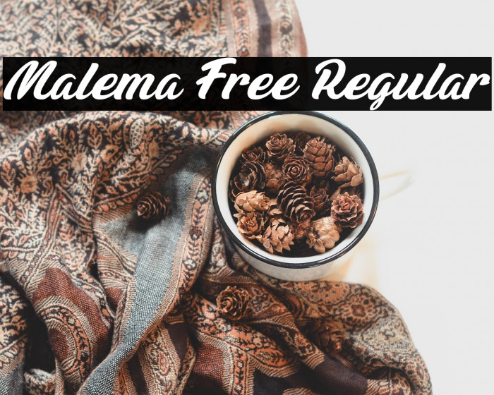 Malema Free Regular Example 1