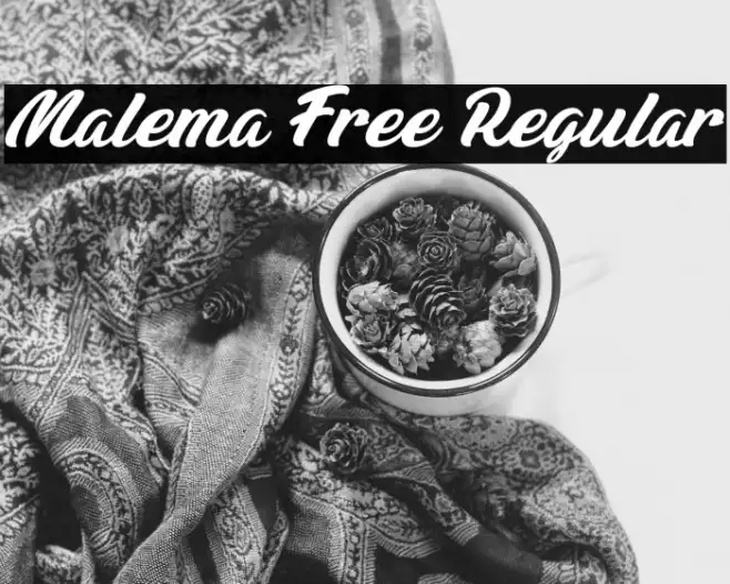 Malema Free Regular Example 1