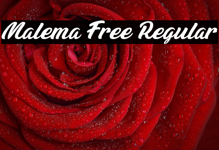 Malema Free Regular Example 3