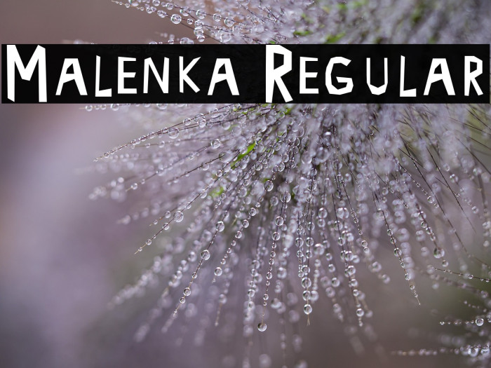 Malenka Regular Example 1
