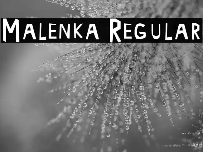 Malenka Regular Example 1