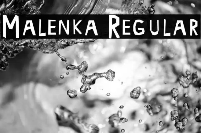 Malenka Regular Example 3
