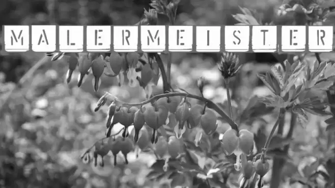 Malermeister Font examples