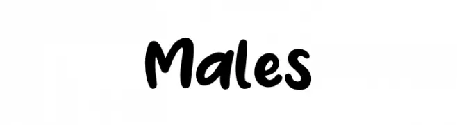 Males  تنزيل الخطوط