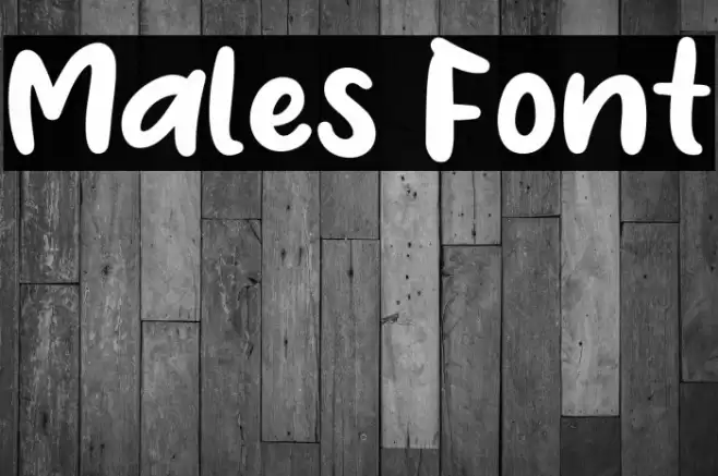 Males Font examples