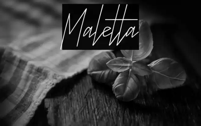 Maletta फ़ॉन्ट examples