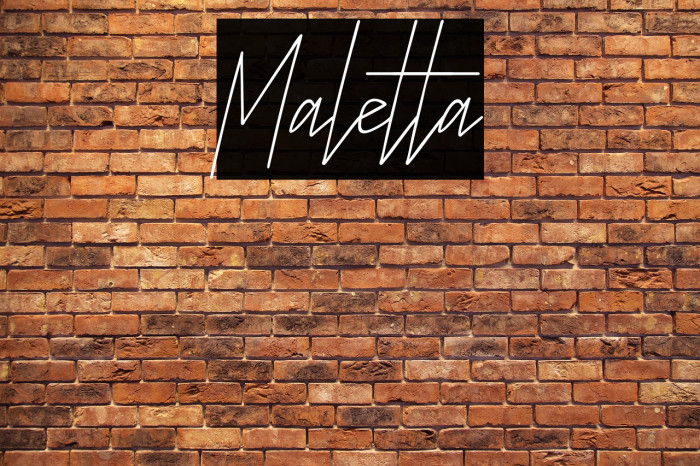 Maletta Example 3