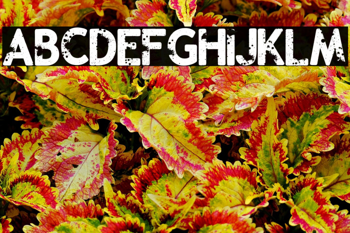 Malevolent z Example 2