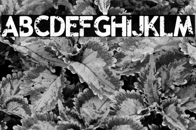 Malevolent z Font examples