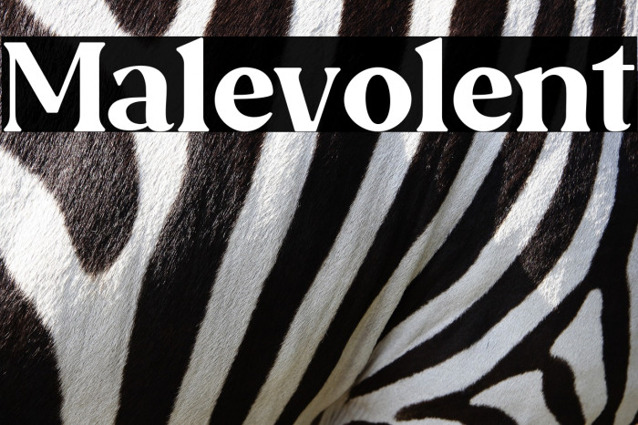 Malevolent Example 2