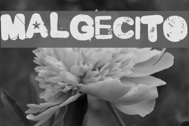 Malgecito Font examples