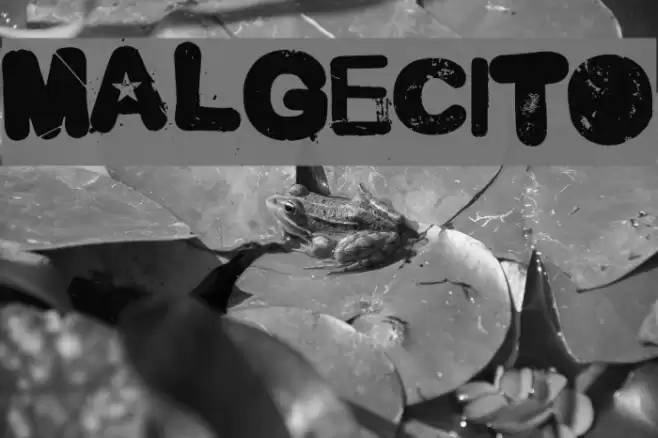 Malgecito Font examples