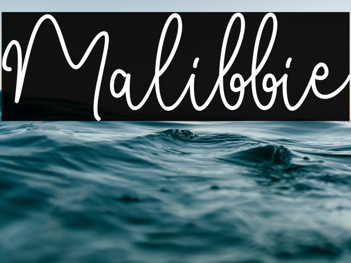 Malibbie Example 3