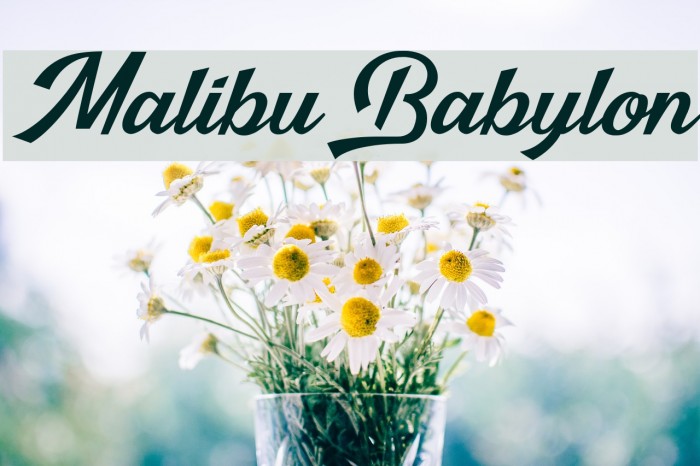 Malibu Babylon Font examples