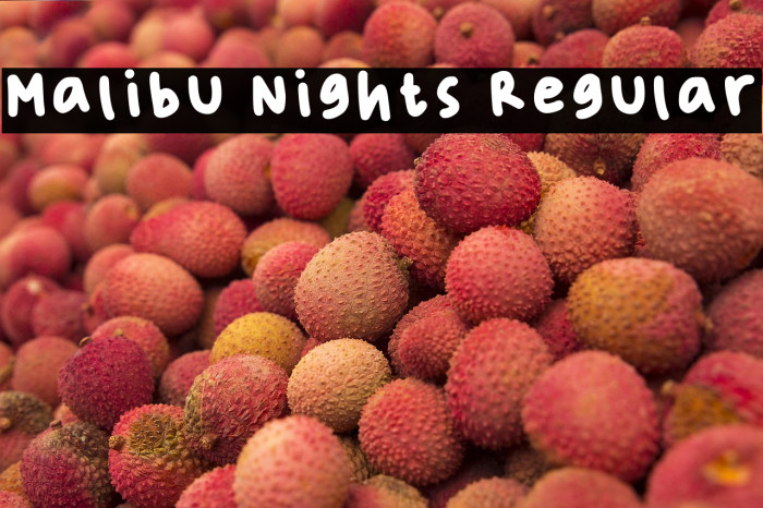 Malibu Nights Regular Example 3