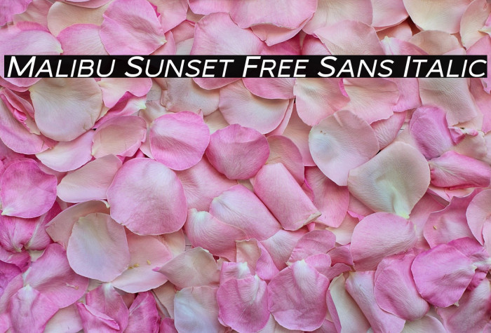 Malibu Sunset Free Sans Italic Example 1