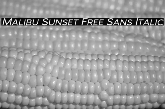 Malibu Sunset Free Sans Italic Font examples