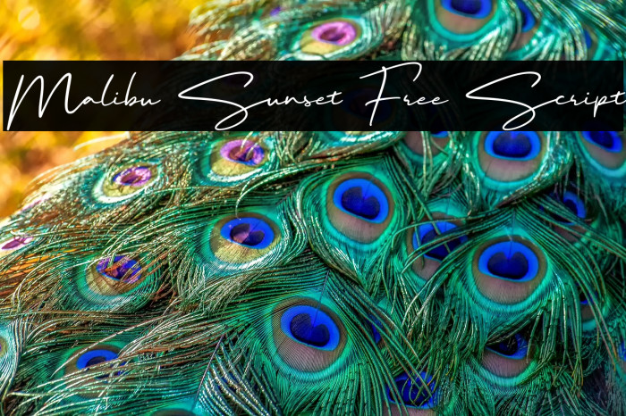 Malibu Sunset Free Script Example 2