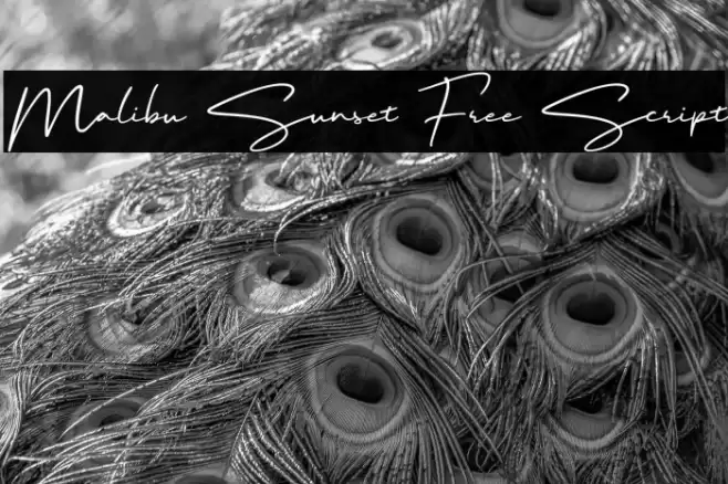 Malibu Sunset Free Script Font examples