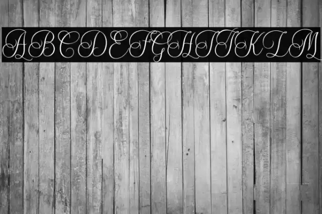 Malibu Font examples