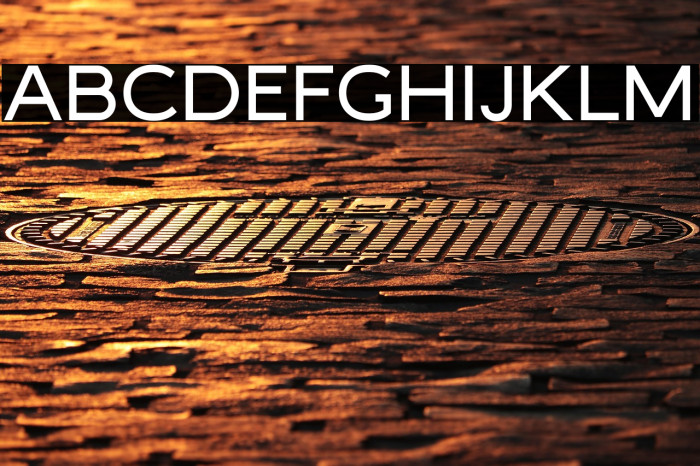 MalibuSunset-Sans Free Example 1